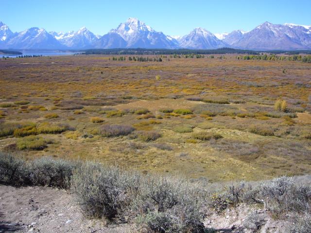img0066.jpg