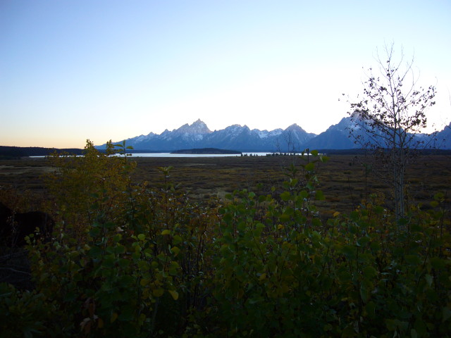 img0083.jpg