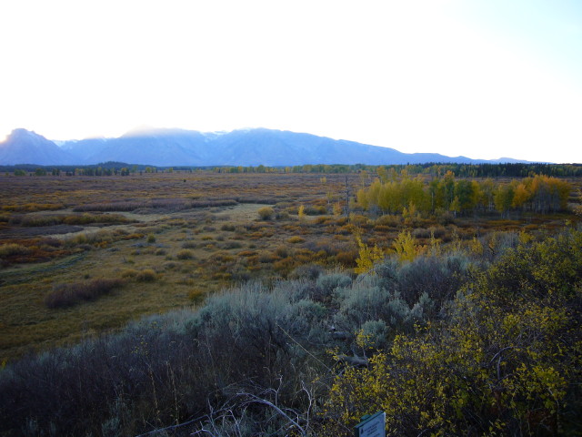 img0185.jpg