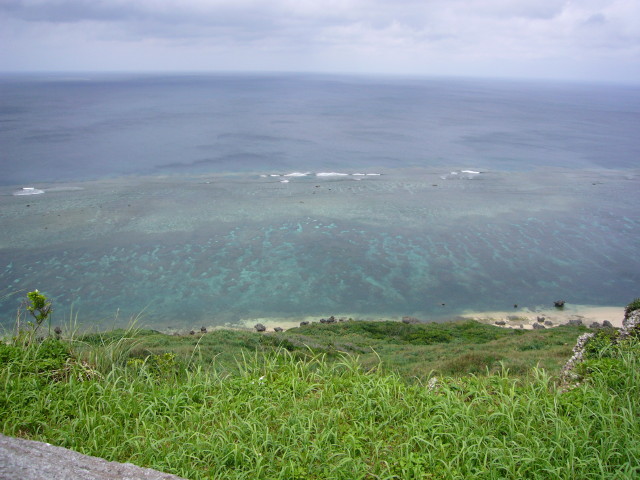 img0009.jpg